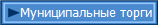 Муниципальные торги